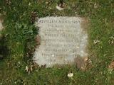 image of grave number 146864